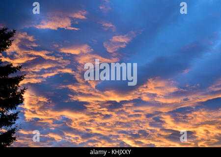 Eine horizontale Landschaft Bild von bunten Wolken durch die untergehende Sonne in der Nähe von Hinton Alberta Kanada Rosa. Stockfoto