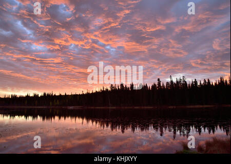 Eine horizontale Landschaft Bild von bunten Wolken Rosa durch die untergehende Sonne in Maxwell See in Hinton Alberta, Kanada. Stockfoto