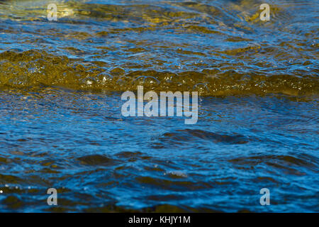 Eine Nahaufnahme Bild von einigen Wellen in Shore erstellen einige Blasen auf Vancouver Island, British Columbia Kanada plätschern. Stockfoto