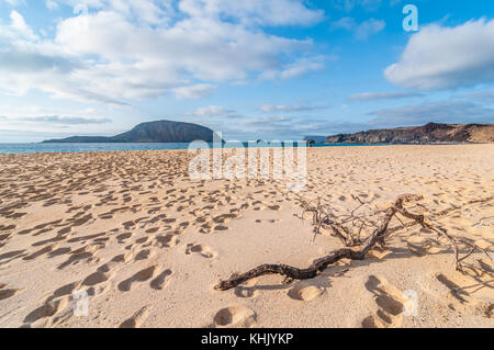 Blick auf Playa de las Conchas mit Montaña Clara Insel im Hintergrund, La Graciosa, Kanarische Inseln, Spanien Stockfoto