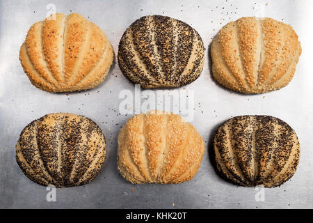 Paul Hollywood Brötchen gesäte Stockfoto