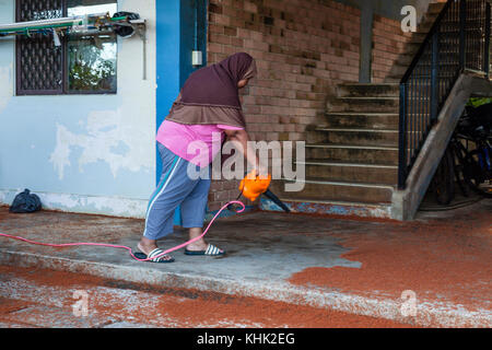 Kinder Krabben Migration durch Flying Fish Cove, Gecarcoidea natalis, Christmas Island, Australien Stockfoto