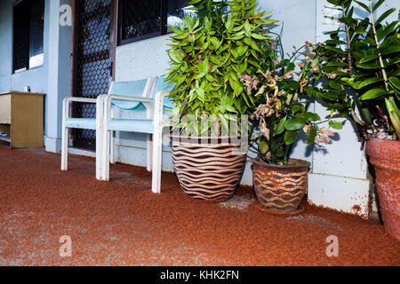 Kinder Krabben Migration durch Flying Fish Cove, Gecarcoidea natalis, Christmas Island, Australien Stockfoto
