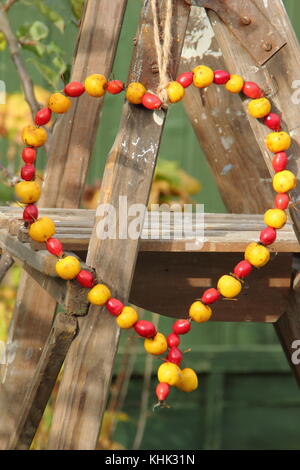 Hausgemachte herzförmige Bird Feeder mit Krabben Äpfel und Hagebutten in einen Englischen Garten an einem strahlenden Herbsttag, Großbritannien Stockfoto