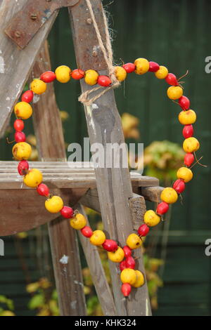Hausgemachte herzförmige Bird Feeder mit Krabben Äpfel und Hagebutten in einen Englischen Garten an einem strahlenden Herbsttag, Großbritannien Stockfoto