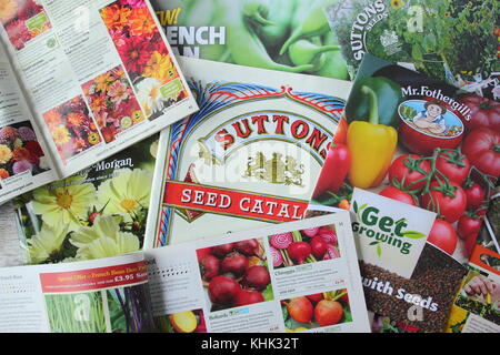 Saatgut Kataloge für Blumen und Gemüse aus verschiedenen britischen Lieferanten Stockfoto
