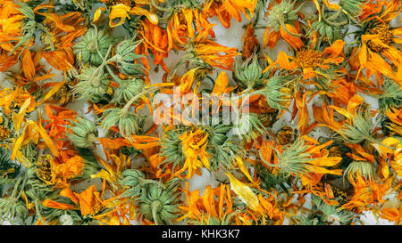 Calendula officinalis getrocknete Blumen Textur. Rapunzel getrocknete Kräuter Hintergrund. Homöopathie Konzept Stockfoto