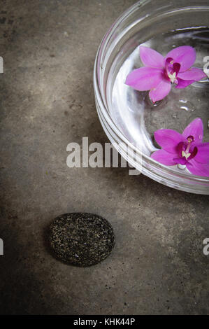 Kiesel mit Blumen in einem Abscheidebehälter Stockfoto