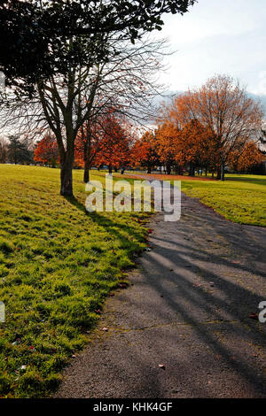 Eine kalte Herbst Szene mit fallender braune Blätter in einem Park in Harrow, London Stockfoto