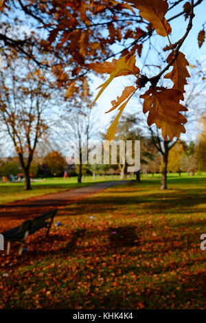Eine kalte Herbst Szene mit fallender braune Blätter in einem Park in Harrow, London Stockfoto