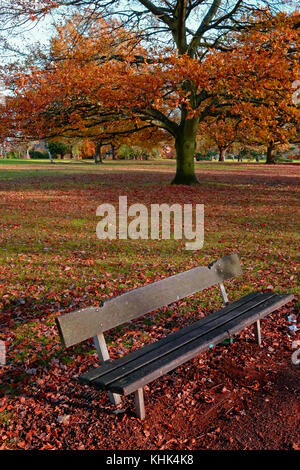 Eine kalte Herbst Szene mit fallender braune Blätter in einem Park in Harrow, London Stockfoto