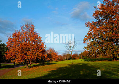 Eine kalte Herbst Szene mit fallender braune Blätter in einem Park in Harrow, London Stockfoto