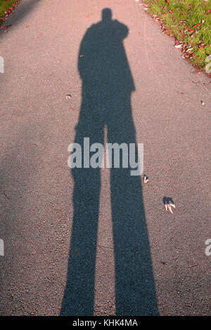 Einen langen Schatten im Herbst Sonne in einem Park in Harrow, London Cast Stockfoto