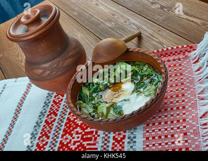 Botvinia - traditionelle russische grüne Gemüsesuppe Stockfoto