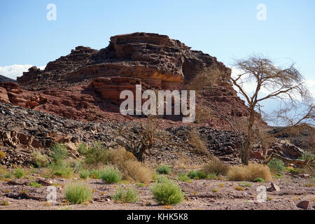 Rote Felsformationen in timna Park in der Wüste Negev in Israel. Stockfoto