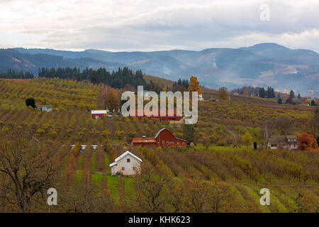 Obstgarten rot Scheunen und Bauernhöfen in Hood River Oregon im Herbst Saison Stockfoto