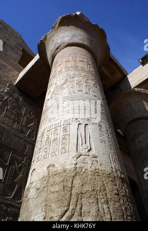 Große Spalte in Kom Ombo Tempel in Ägypten Stockfoto