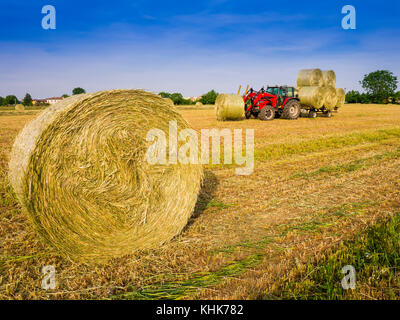 Traktor sammeln Heuballen in die Felder Stockfoto