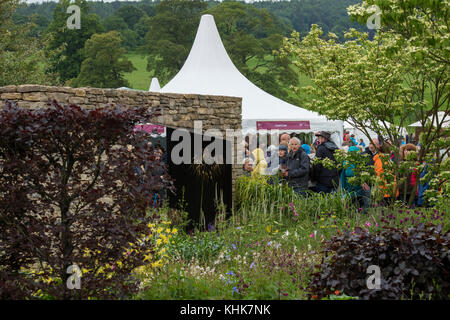 Wände Tierheim ruhigen, abgeschiedenen Bereich mit Pflanzen im Landhausstil Garten - Wedgewood Garten, RHS Chatsworth House Flower Show, Derbyshire, England, UK. Stockfoto