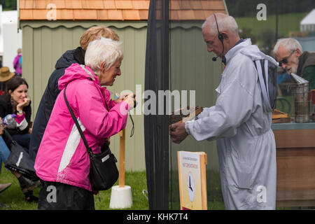 BBKA Mann live Imkerei Demo spricht & zeigt Brut Frame der Bienen zu People - RHS Chatsworth Flower Show Showground, Derbyshire, England, Großbritannien. Stockfoto