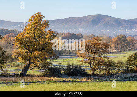 Herbst über die alten Hügel mit Blick auf die Malvern Hills, Worcestershire, England, Großbritannien Stockfoto