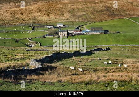 Herbst, Pen-y-Ghent fiel, in der Nähe von Horton-in-Ribblesdale, Yorkshire Dales National Park, Großbritannien Stockfoto