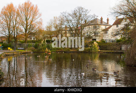 Die kleinen mit Bäumen gesäumten Fluss, fließt durch die Station Park in Bangor, County Down, Nordirland Stockfoto