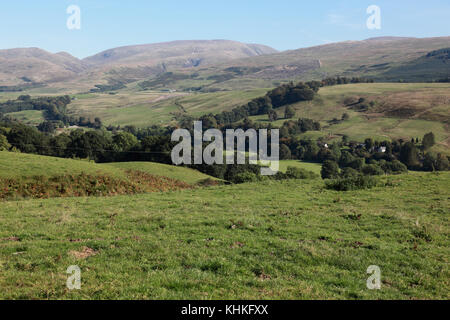 Die annandale Tal im moffat Hügel von der schottischen Grenze, nördlich von Moffat Stockfoto