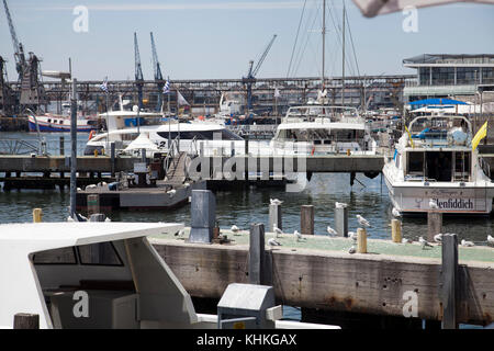 Waterfront Hafen in Kapstadt - Südafrika Stockfoto