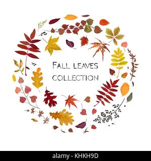 Vektor Blumen Aquarell Stil card design Herbst: Bunte verschiedenen orange gelb braun rot Herbstlaub Kräuter, Wald Äste Kranz gree Stock Vektor