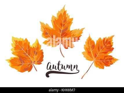 Vektor Herbst aquarell Stil saisonale Karte Design mit bunten Orange, Gelb, Rot Herbst Ahorn Wald Baum Blätter. Gruß Postkarte, Banner, d Stock Vektor