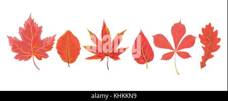 Vektor Herbst aquarell Stil saisonalen Herbst Ahorn Kirschbaum kastanie Maulbeerbaum rot orange Blätter gezeichnet Wald Blatt. Gruß Postkarte, banner Decora Stock Vektor