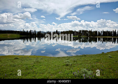 Wy 02614-00 ... Wyoming - Wolken in der indischen Teich im Yellowstone National Park wider. Stockfoto