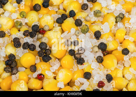 Dekorativer Hintergrund aus einer Mischung aus Mais, Salz und Pfeffer. bunte Textur von gekochten Mais Getreide und pikant gewürzt. Stockfoto