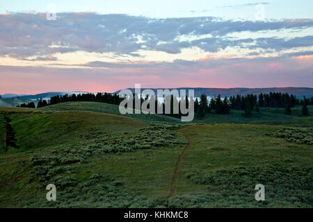 Wy 02624-00 ... Wyoming - Sonnenaufgang über den grünen Hügeln der Hayden Valley Gebiet des Yellowstone National Park. Stockfoto