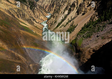 Wy 02641-00 ... Wyoming - Blick auf den Yellowstone River vom Rand des oberen fällt Sicht in den Canyon des Yellowstone National Park. Stockfoto