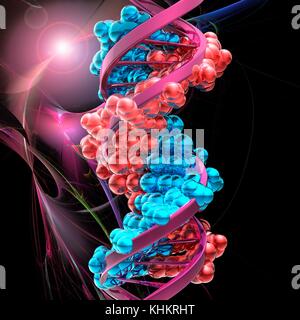 Prinzipdarstellung eines doppelsträngige DNA (Desoxyribonukleinsäure) Molekül. Die DNA besteht aus zwei Strängen in einer Doppelhelix verdreht. Jeder Strang besteht aus einem Zucker Phosphat Backbone angeschlossen Unterseiten Nukleotid. Es gibt vier Basen: Adenin, Cytosin, Guanin und Thymin. Die Basen sind zusammen durch Wasserstoffbrücken verbunden. Die DNA enthält Abschnitte Gene genannt, dass die genetische Information des Körpers zu codieren. Stockfoto