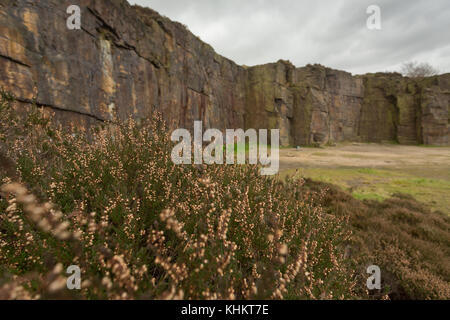 Klettern Veranstaltungsort hobson Moor Steinbruch, stalybridge, Tameside, Greater Manchester Stockfoto