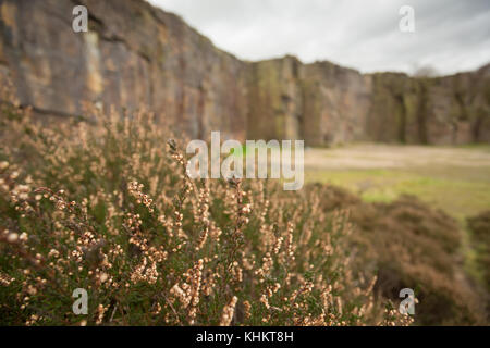 Klettern Veranstaltungsort hobson Moor Steinbruch, stalybridge, Tameside, Greater Manchester Stockfoto