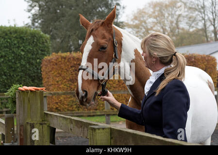 Attraktive blonde Frau mit ihrem Skewbaldpferd und ein paar Karotten. November 2017 Stockfoto