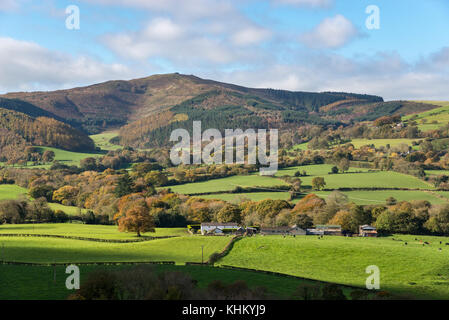 Wunderschöner Blick auf Moel Famau vom Unechten Country Park in Nordwales an einem sonnigen Herbsttag. Stockfoto