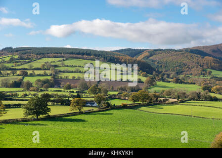 Landschaft in der Nähe von Loggerheads Country Park in Nordwales an einem sonnigen Herbsttag. Stockfoto
