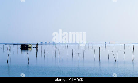 Muschelzucht aus Po River Lagoon, Italien. Scardovari Strand. Italienische Landschaft Stockfoto