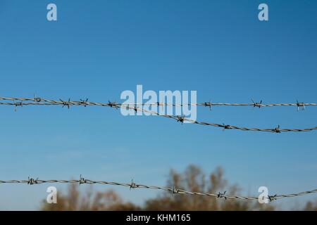 Drei Stränge von Stacheldraht gegen blauen Himmel mit ganz oben auf Bäumen am Boden Stockfoto