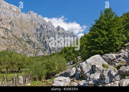 Valbona Tal in Albanien Stockfoto