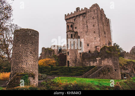 Blarney, Irland - Blarney Castle, eine mittelalterliche Festung in Blarney, in der Nähe von Cork, Irland, und der Fluss Martin Stockfoto