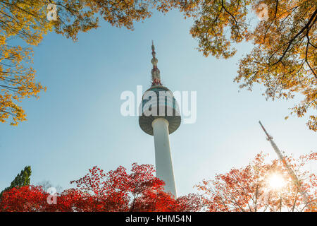 Seoul Tower mit gelben und roten Herbst Ahorn Blätter am Namsan Berg in Südkorea. Stockfoto