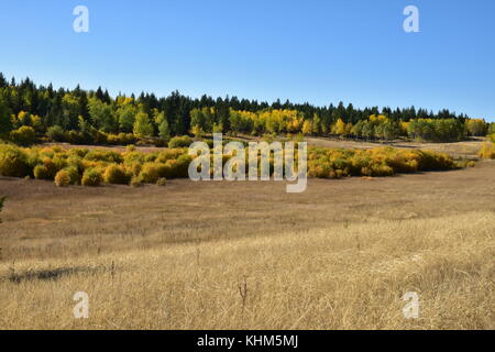 Weideland im Herbst Stockfoto