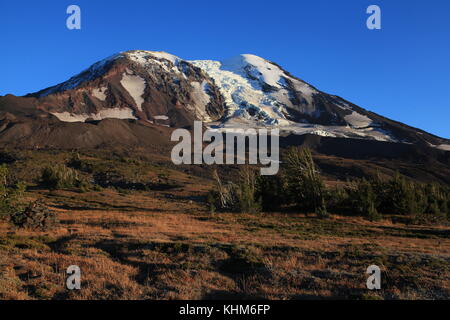 Mt Adams aus High Camp Stockfoto