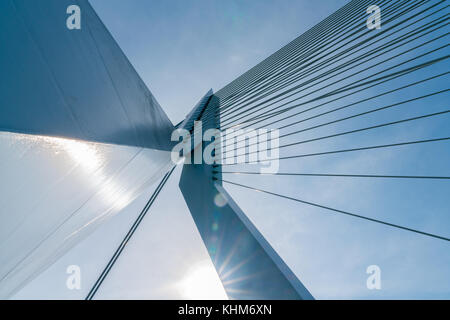 Engineering Detail abstarct Kabel Aufenthalte der Erasmus Brücke geringe Sicht blauer Himmel über Stockfoto